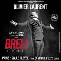Brel, Le Spectacle