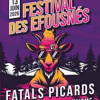 Festival Des Efousnés