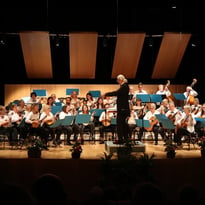 Orchestre de mandolines et guitares