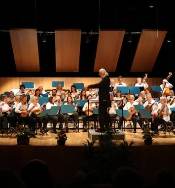 Orchestre de mandolines et guitares