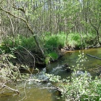 Les Fossottes, entre nature et patrimoine