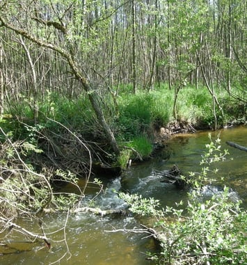Les Fossottes, entre nature et patrimoine