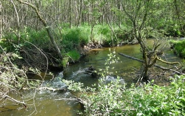 Les Fossottes, entre nature et patrimoine