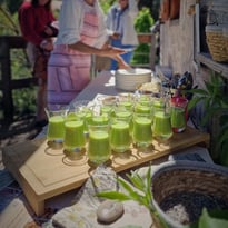 Délices de la nature & cuisine sauvage