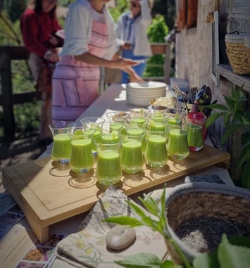 Délices de la nature & cuisine sauvage