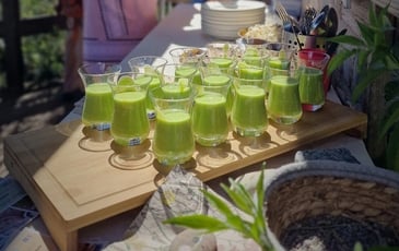 Délices de la nature & cuisine sauvage