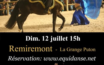 Spectacle équestre EquiDanse