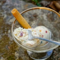 La glace Plombières : présentation et dégustation