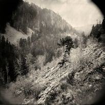 Démonstration : plongez au cœur des origines de la photographie !