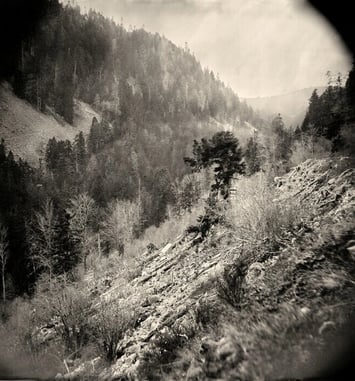 Démonstration : plongez au cœur des origines de la photographie !