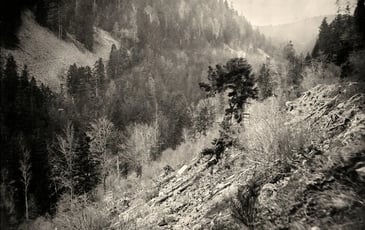 Démonstration : plongez au cœur des origines de la photographie !