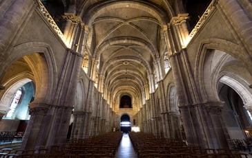 La basilique sculptée : récit d'un art sacré