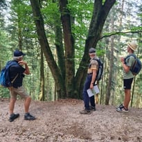 Découverte de l'histoire du Massif de l'Avison et de ses arbres remarquables