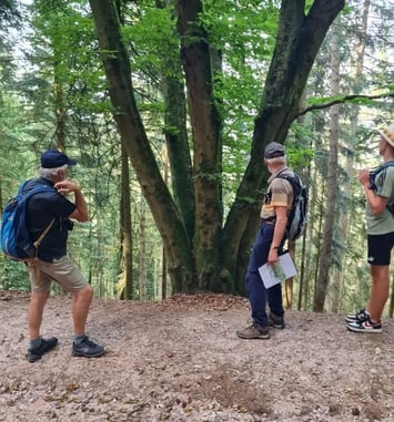 Découverte de l'histoire du Massif de l'Avison et de ses arbres remarquables