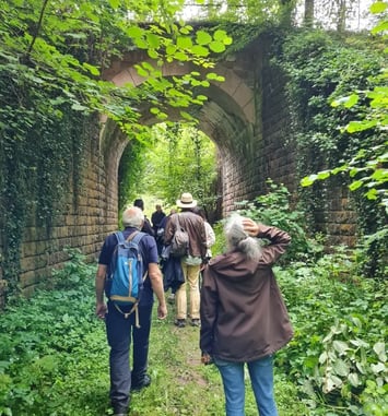 Partez à la découverte d'un ouvrage d'art unique, témoin de l'histoire ferroviaire.