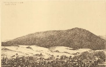 Découverte libre de l'exposition : "Promenade dans les Vosges. Représenter le paysage"