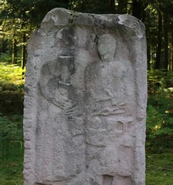 Visite guidée et dessinée du camp celtique de la Bure
