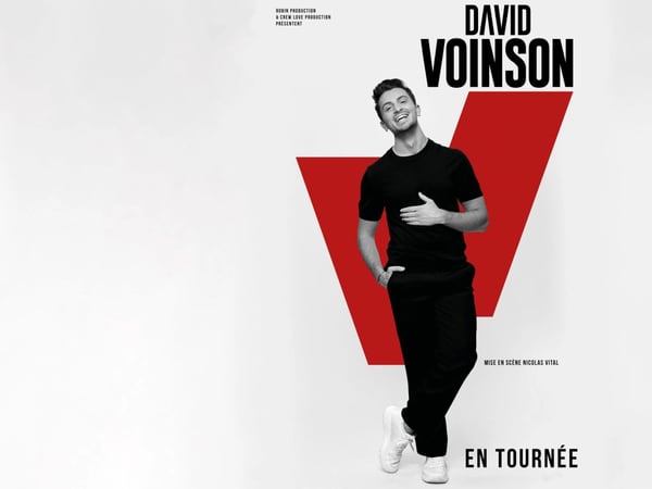 David Voinson