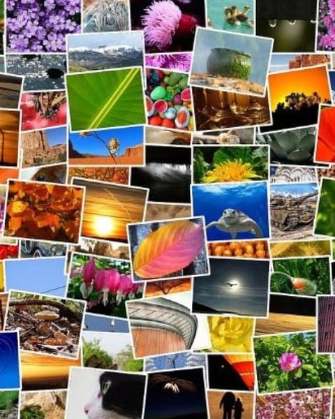 Expo photos en plein air