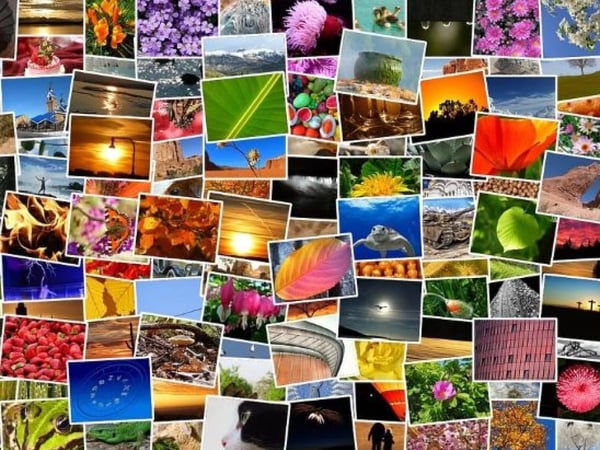 Expo photos en plein air