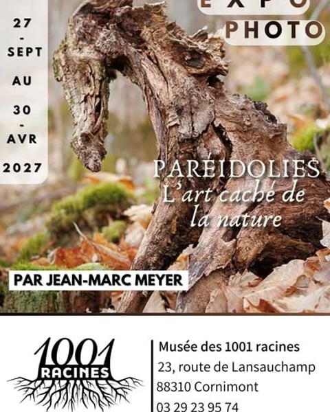 Paréidolies, l'art caché de la nature