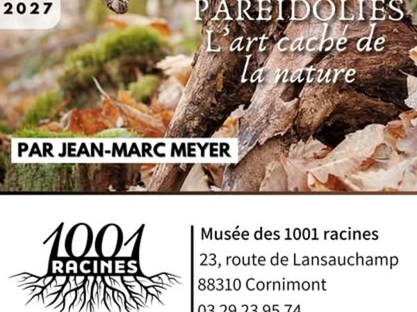 Paréidolies, l'art caché de la nature